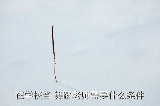 在学校当 舞蹈老师需要什么条件