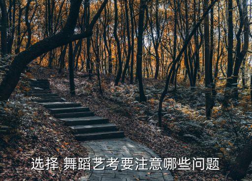 选择 舞蹈艺考要注意哪些问题