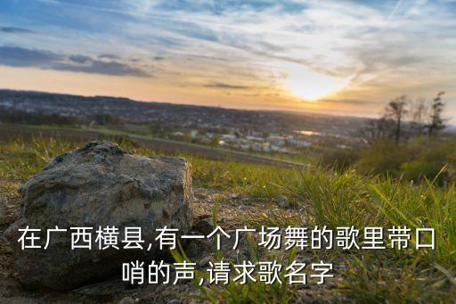 在广西横县,有一个广场舞的歌里带口哨的声,请求歌名字