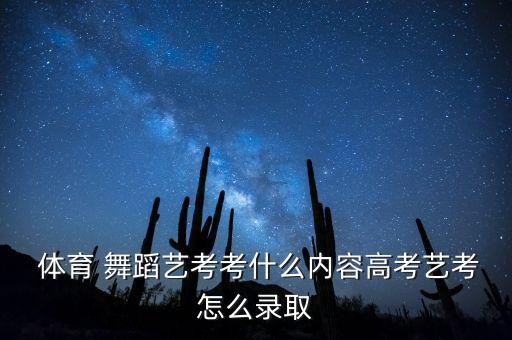  体育 舞蹈艺考考什么内容高考艺考怎么录取