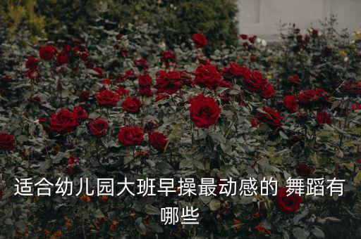 适合幼儿园大班早操最动感的 舞蹈有哪些