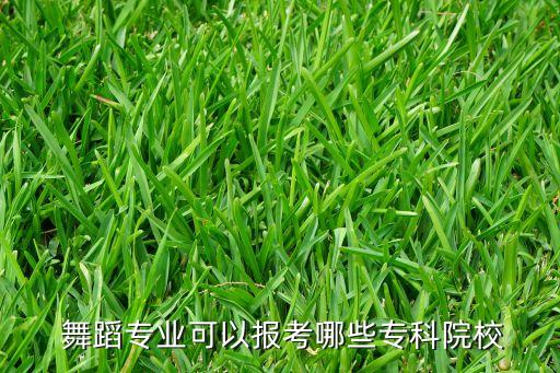  舞蹈专业可以报考哪些专科院校