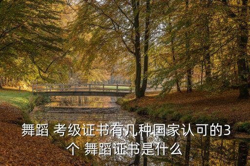 舞蹈 考级证书有几种国家认可的3个 舞蹈证书是什么