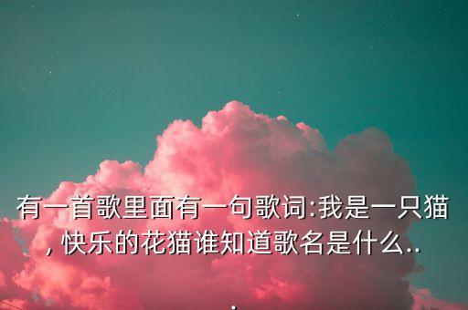 快乐新猫舞蹈视频大全,快乐00后舞蹈视频幼儿园