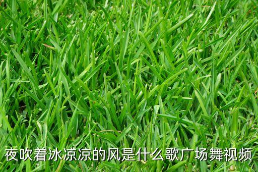 夜吹着冰凉凉的风是什么歌广场舞视频