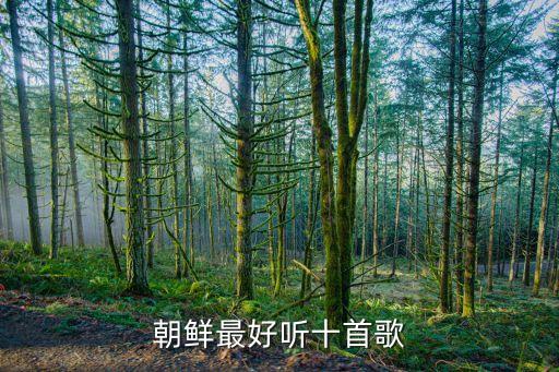 朝鲜最好听十首歌