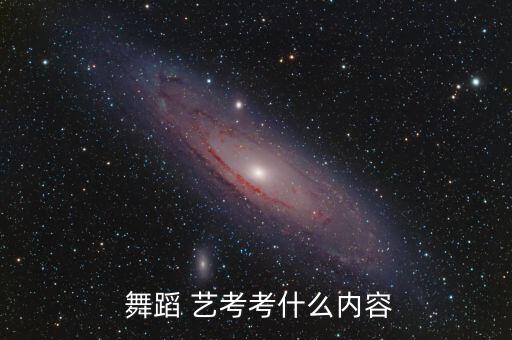  舞蹈 艺考考什么内容