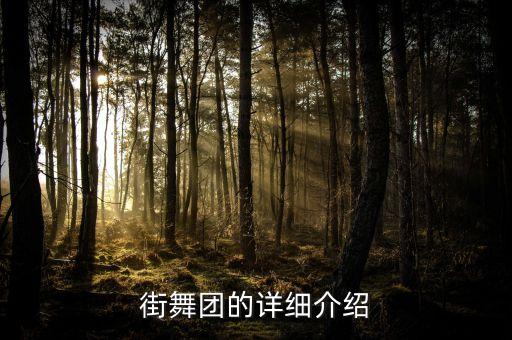 街舞团的详细介绍