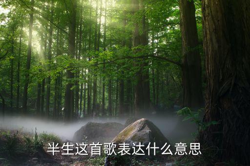半生这首歌表达什么意思