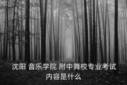 沈阳音乐附中 舞蹈,沈阳师范附中舞蹈学校怎么样