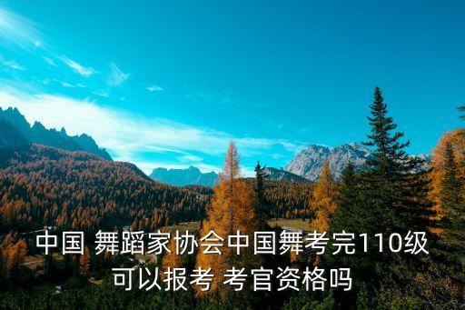 中国 舞蹈家协会中国舞考完110级可以报考 考官资格吗