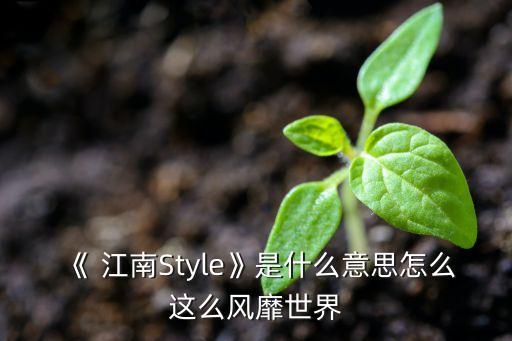 《 江南Style》是什么意思怎么这么风靡世界