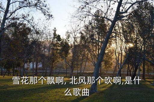 雪花那个飘啊, 北风那个吹啊,是什么歌曲