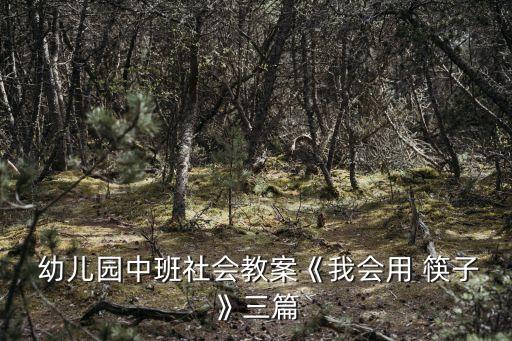  幼儿园中班社会教案《我会用 筷子》三篇