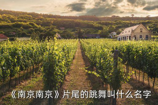 《南京南京》片尾的跳舞叫什么名字