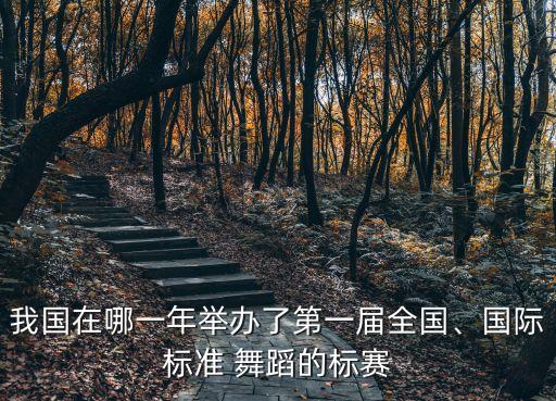 我国在哪一年举办了第一届全国、国际标准 舞蹈的标赛