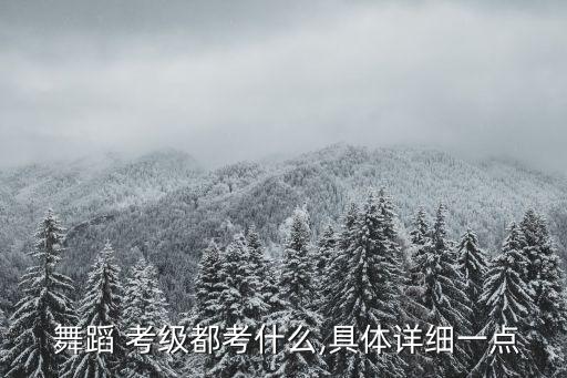 中国考级舞蹈基本功,中国舞考级5级舞蹈东北秧歌