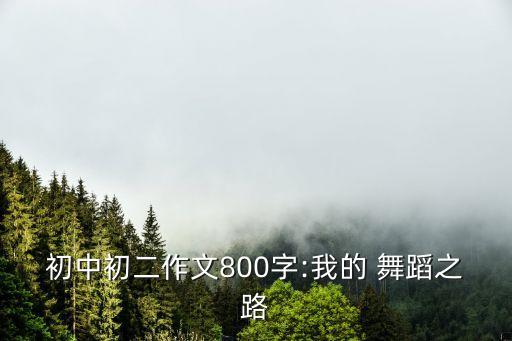 初中初二作文800字:我的 舞蹈之路