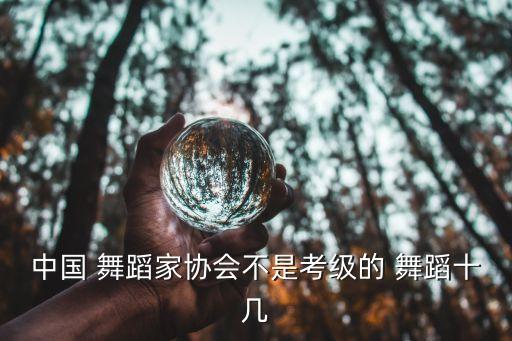 中国 舞蹈家协会不是考级的 舞蹈十几