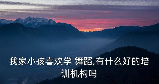 我家小孩喜欢学 舞蹈,有什么好的培训机构吗