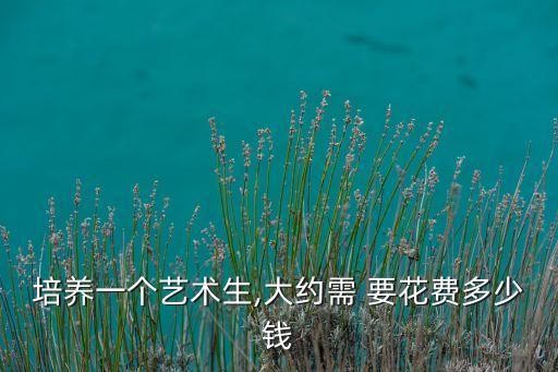 培养一个艺术生,大约需 要花费多少钱