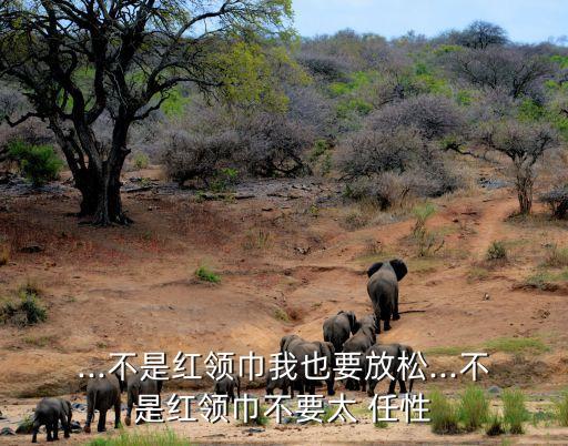 很任性舞蹈视频学生版,舞蹈视频有一个姑娘她有一些任性