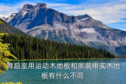 舞蹈演员 半月板