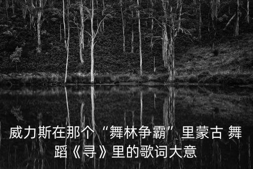 威力斯在那个“舞林争霸”里蒙古 舞蹈《寻》里的歌词大意