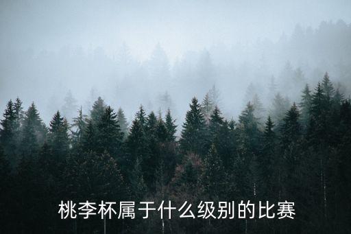  桃李杯属于什么级别的比赛