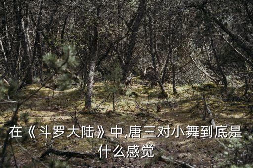 守护 舞蹈,守护舞蹈背后故事