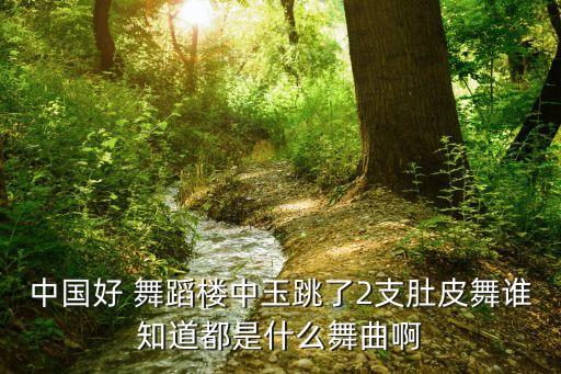 中国好舞蹈第一期全集