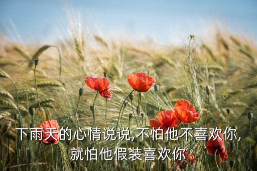 下雨天的心情说说,不怕他不喜欢你,就怕他假装喜欢你