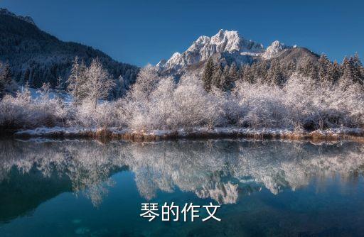 琴的作文