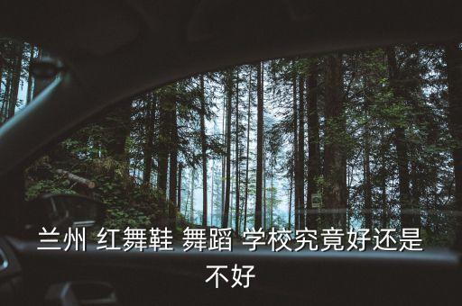 红舞鞋舞蹈学校咋样,石家庄红舞鞋舞蹈学校怎么样