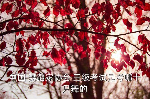 中国 舞蹈家协会 三级考试是考哪十只舞的