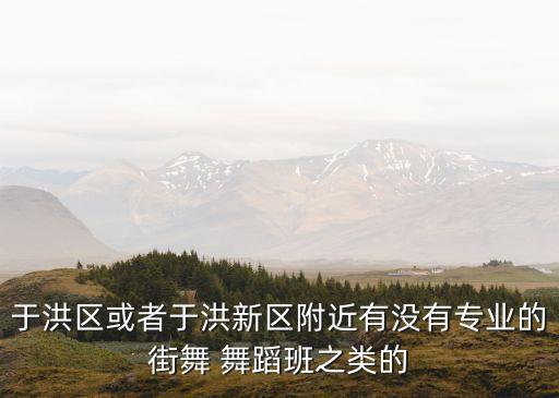 于洪区或者于洪新区附近有没有专业的街舞 舞蹈班之类的