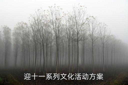 迎十一系列文化活动方案