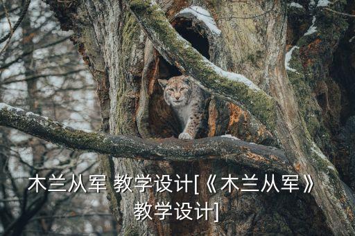 木兰从军 教学设计[《木兰从军》 教学设计]