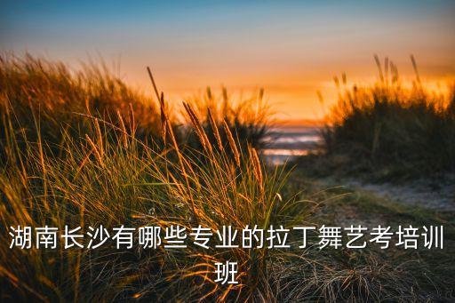 湖南长沙有哪些专业的拉丁舞艺考培训班