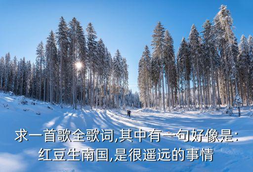 求一首歌全歌词,其中有一句好像是:红豆生南国,是很遥远的事情