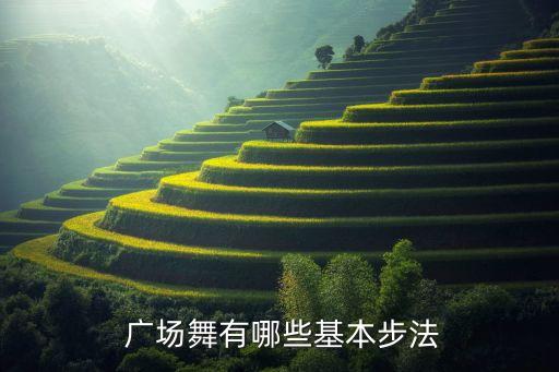 简单动作的广场舞蹈,一分钟广场舞蹈视频 简单