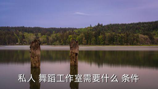 私人 舞蹈工作室需要什么 条件