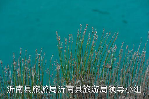 沂南县旅游局沂南县旅游局领导小组