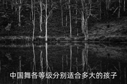 中国舞各等级分别适合多大的孩子