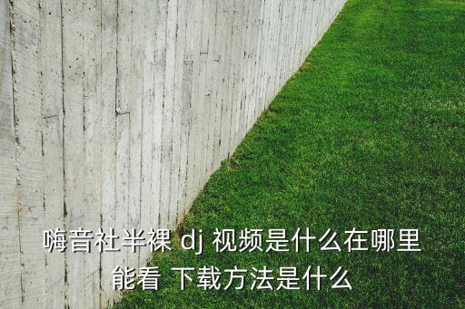 适合跳dj的舞蹈教学视频下载,适合胖子跳的舞蹈教学单人