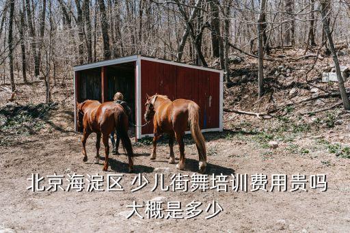  北京海淀区 少儿街舞培训费用贵吗大概是多少