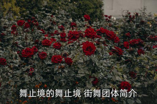 舞止境的舞止境 街舞团体简介