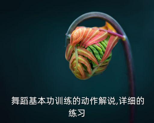 舞蹈开腿坐怎么做,舞蹈腿的顺序怎么排