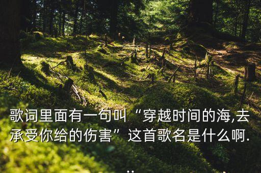 歌词里面有一句叫“穿越时间的海,去承受你给的伤害”这首歌名是什么啊...