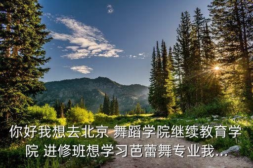 你好我想去北京 舞蹈学院继续教育学院 进修班想学习芭蕾舞专业我...